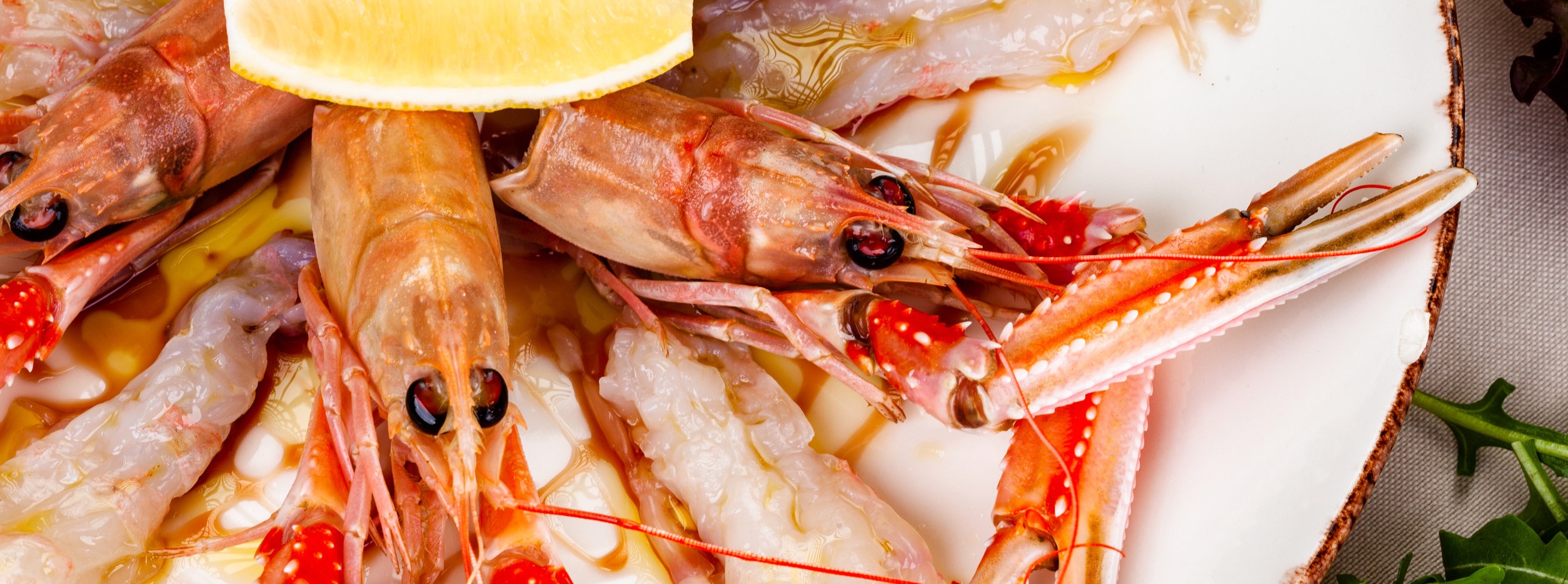 Seafood. Langoustine, scampi or Norway lobster with lemon on white plate.