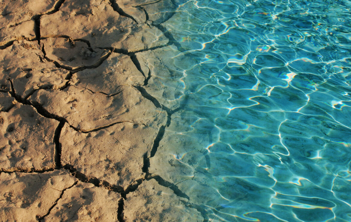 Mare in Caldo: L’impatto del cambiamento climatico sulla vita marina